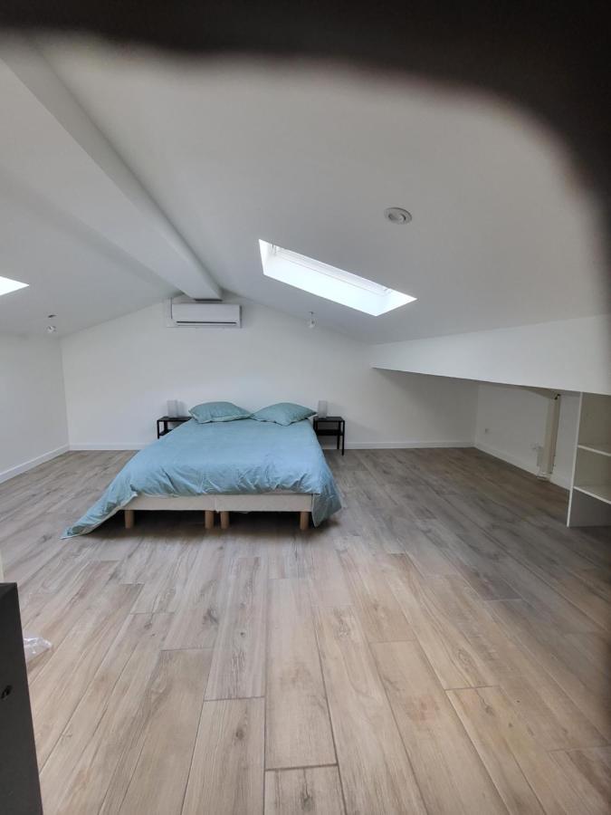 Appartement Entierement Renove A Neuf 101 サン・テティエンヌ エクステリア 写真